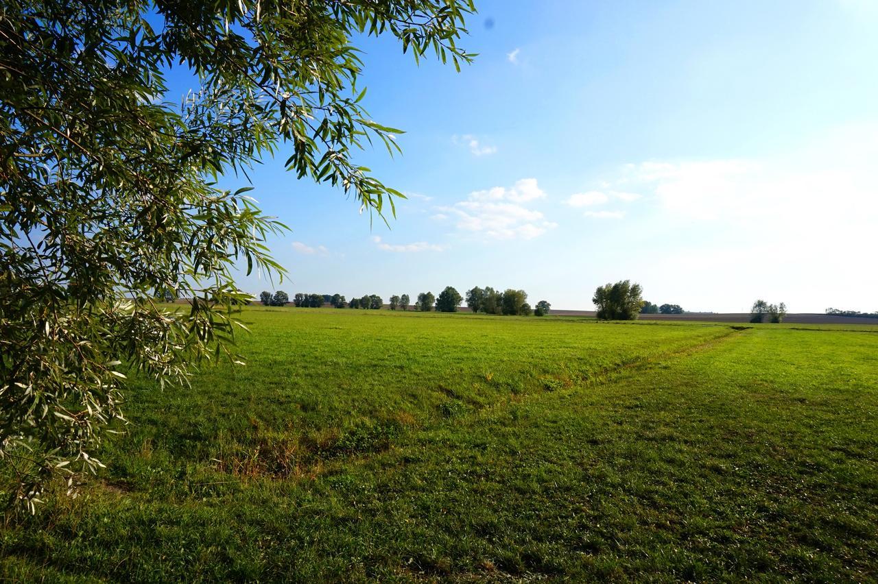 Gasthaus Zur Krone Windelsbach Εξωτερικό φωτογραφία